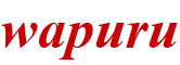 株式会社ワプルロゴ画像
