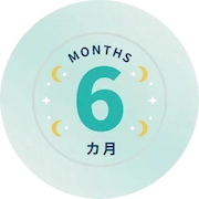 札幌のホームページ制作会社ワプルの契約期間6カ月